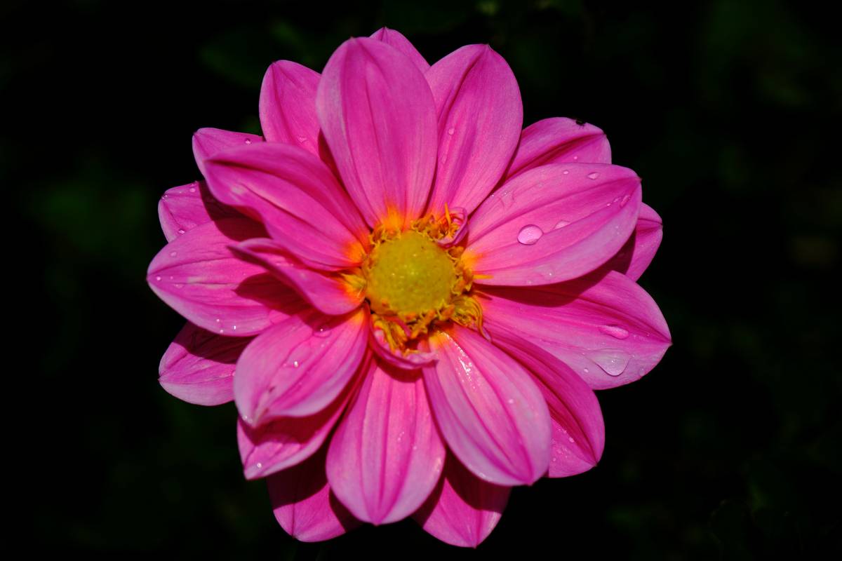 15 Stunning Silver Tiara Designs to Elevate Your Hair Crown Game